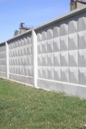 Бетонна ограда: характеристики и съвети за инсталиране на ограда