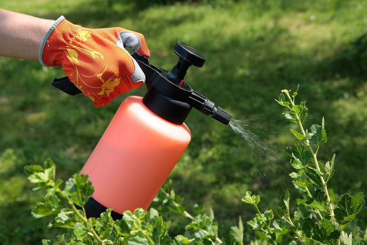 Biologiske produkter til plantebeskyttelse mod forskellige sygdomme