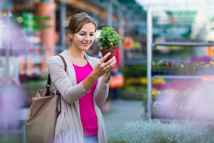 Sådan vælger du den rigtige blomst i butikken