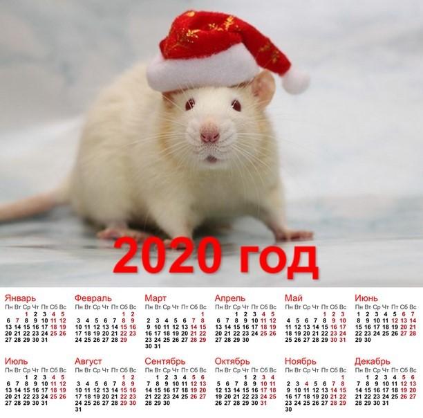 aké zviera bude 2020 v Rusku