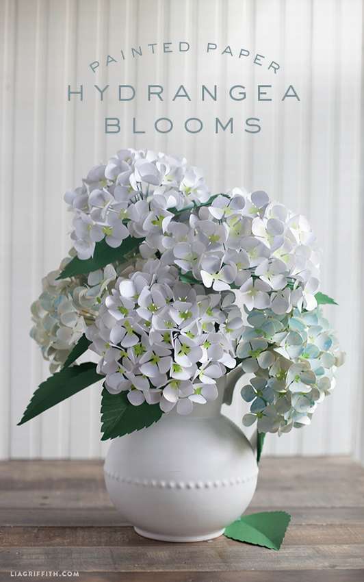 valkoinen paperi kukka hortensia