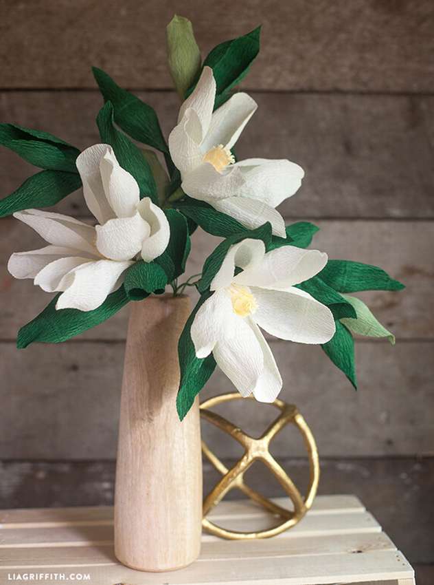 valkoinen aallotettu paperi kukka magnolia