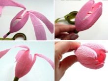 DIY papirblomster fotoeksempler: hvordan man laver håndværk til begyndere i en mesterklasse, hvad skal man gøre fra tyndt crepe -papir og fra tykt papir?