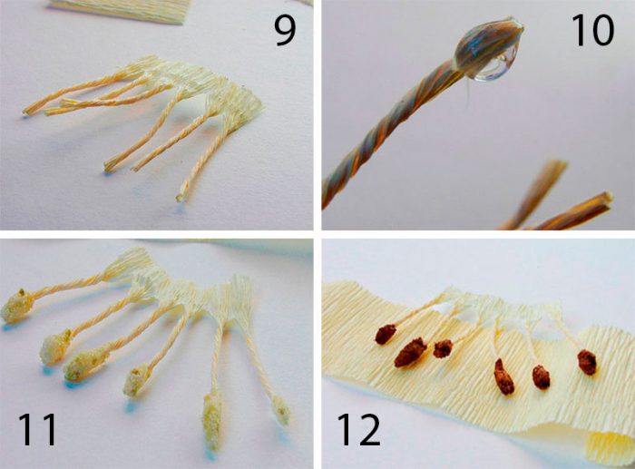 DIY papirblomster fotoeksempler: hvordan man laver håndværk til begyndere i en mesterklasse, hvad skal man gøre fra tyndt crepe -papir og fra tykt papir?