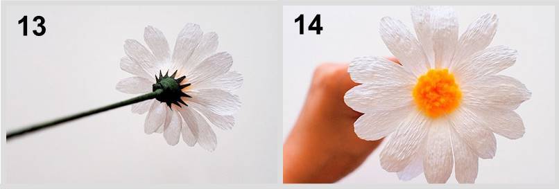 DIY papirblomster fotoeksempler: hvordan man laver håndværk til begyndere i en mesterklasse, hvad skal man gøre fra tyndt crepe -papir og fra tykt papir?