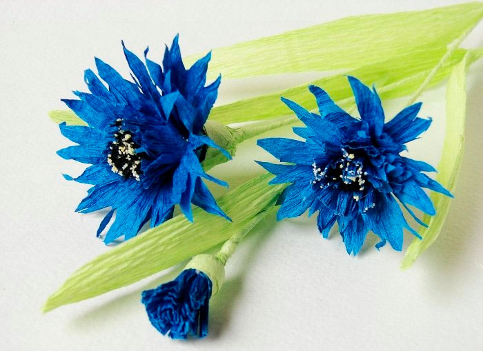 DIY papirblomster fotoeksempler: hvordan man laver håndværk til begyndere i en mesterklasse, hvad skal man gøre fra tyndt crepe -papir og fra tykt papir?