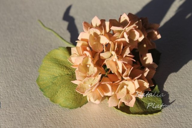 Gør-det-selv blomster fra foamiran: Hortensia