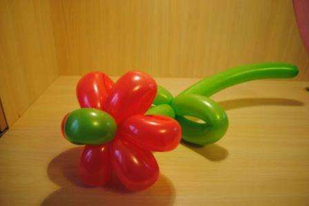 Potom, čo konečne zvládnete techniku ​​výroby kvetov sedmokrásky z balónov, môžete pristúpiť k zložitejším tvarom a dokonale zvládnuť umenie skrúcania. Modelovacia farba