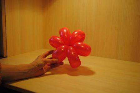 balónový kvet