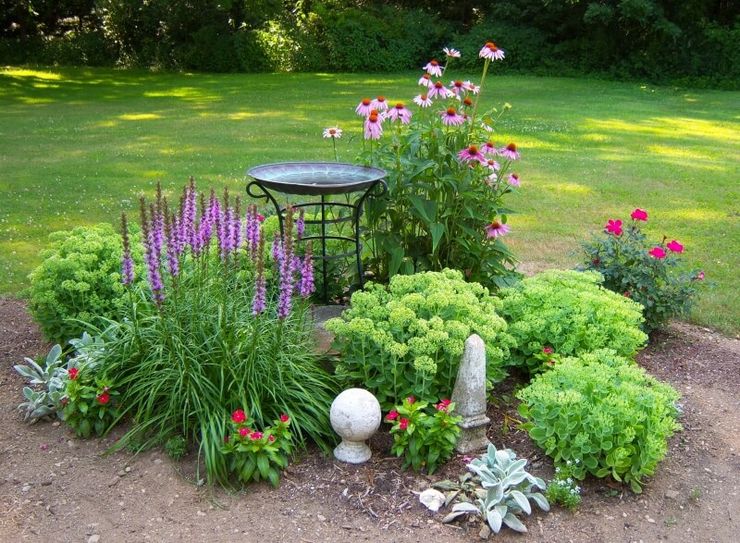 Sådan laver du en blomsterhave