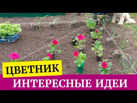 ��Hvordan man bygger en blomsterhave med egne hænder. Opret en blomsterhave fra petunier, lobeliaer, gazanier og pelargoniums��