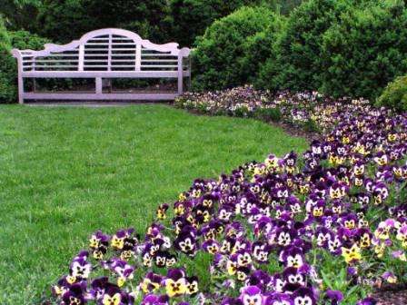 je to kvetinová záhrada - ideálna pre neskúsených pestovateľov kvetov. Na záhon sú vysadené rastliny rovnakého druhu.