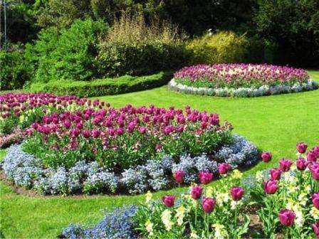 Forårsblomster