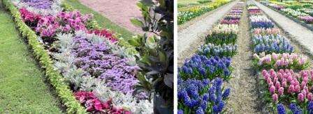 Rabatka er en flad blomsterhave bestående af forskellige planter. Du kan placere rabatkaen i den centrale del af en stor blomsterhave, så bliver du nødt til at plante planterne, så de får et attraktivt udseende på begge sider.