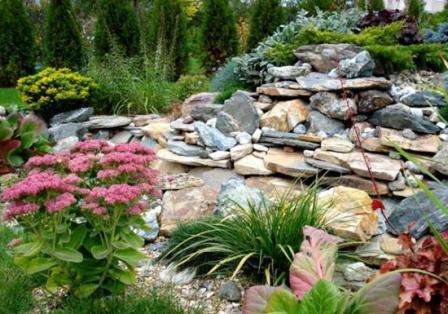 En klippehave er en stenet bakke, hvorpå der plantes planter og buske. Med denne type blomsterhave kan du ændre dit landskabsdesign betydeligt. Det er let at organisere et alpine rutsjebane selv i et lille område.