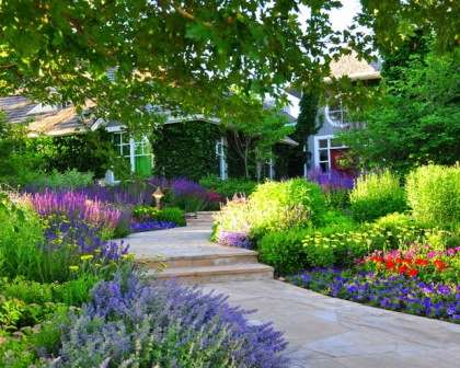 Blomsterbede i haven i et privat hus, foto. Blomsterbed blomstrer hele sommeren