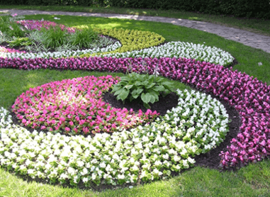 Sengene af forskellige blomster blomstrer hele sæsonen fra forår til efterår. Mange fotos