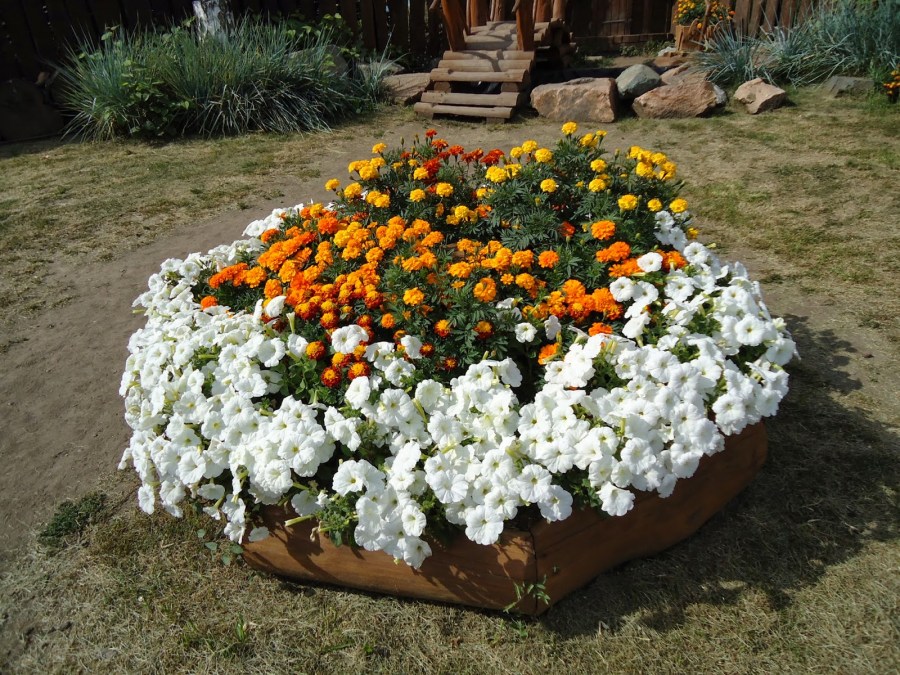 Sådan laver du et blomsterbed med dine egne hænder