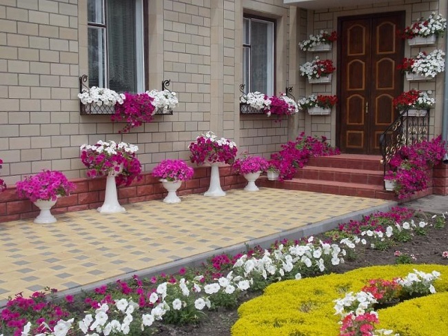 blomster i krukker og krukker på en brostensbelagt gårdhave