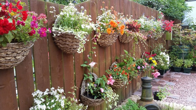 Blomster i hængende krukker