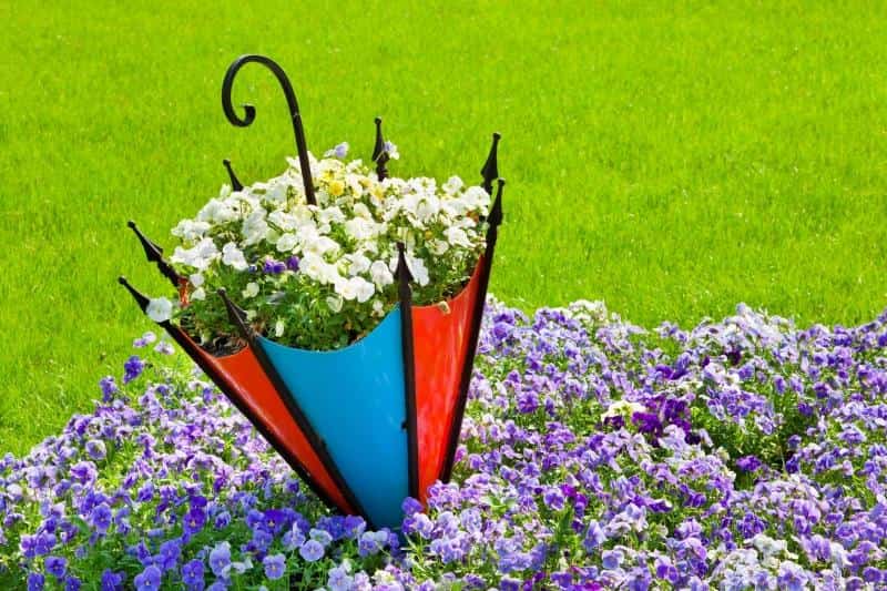 En blomsterbed-paraply lavet af krydsfiner eller plast vil tjene dig i lang tid