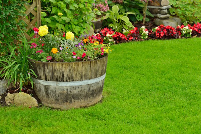 Ved at skære tønden i to dele får du originale, store urtepotter til blomsterbedet