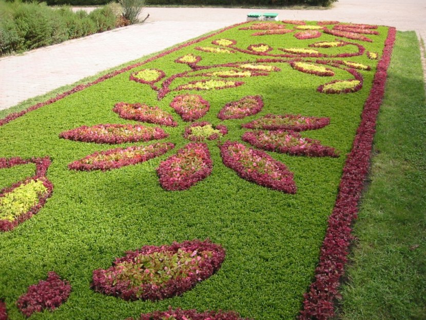 Blomsterhaver i landet: typer, hvordan man gør det selv, plantningsordninger med navne