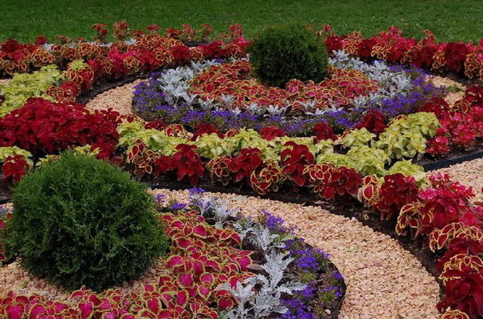 Blomsterhaver i landet: typer, hvordan man gør det selv, plantningsordninger med navne