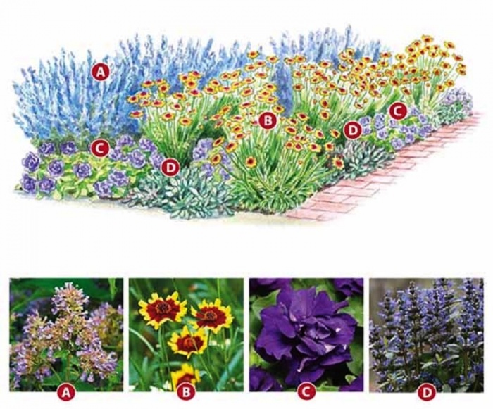 Blomsterhaver i landet: typer, hvordan man gør det selv, plantningsordninger med navne