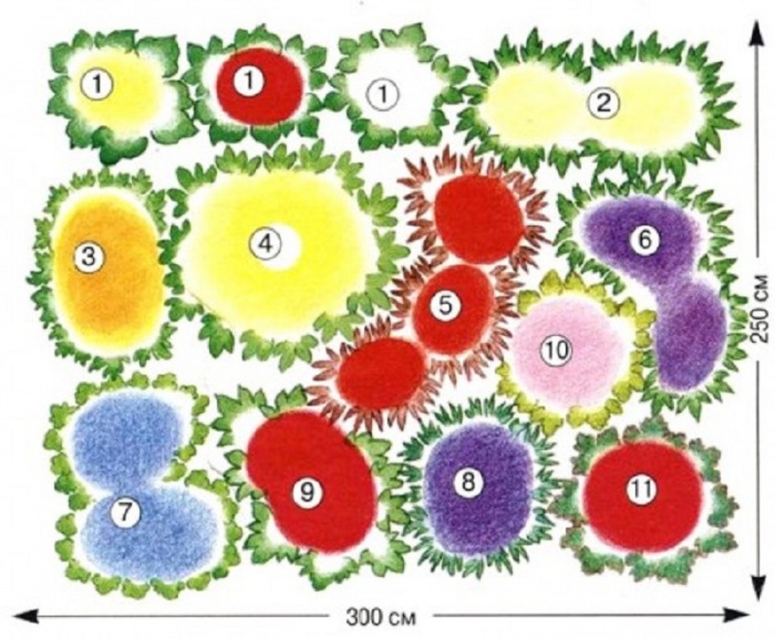 Blomsterhaver i landet: typer, hvordan man gør det selv, plantningsordninger med navne