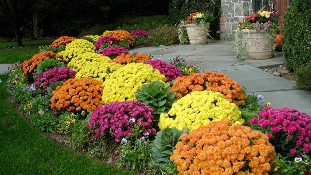Blomsterhaver i landet: typer, hvordan man gør det selv, plantningsordninger med navne