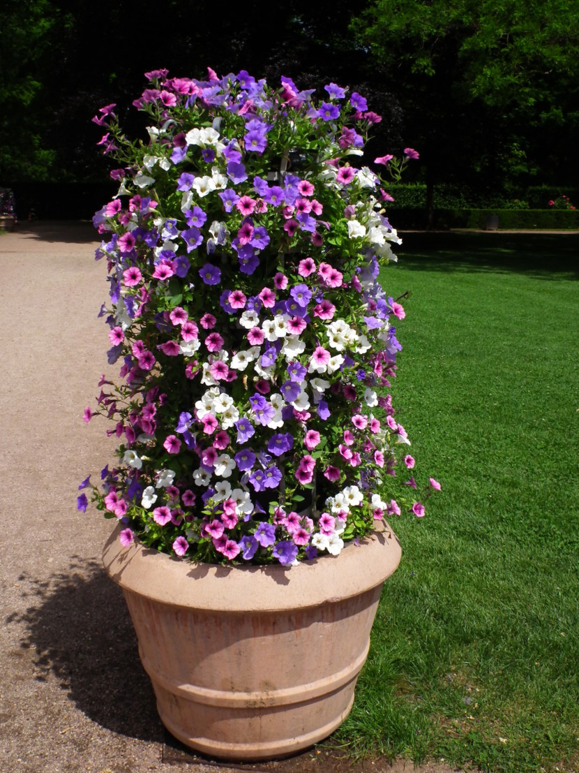 Blomsterhaver i landet: typer, hvordan man gør det selv, plantningsordninger med navne