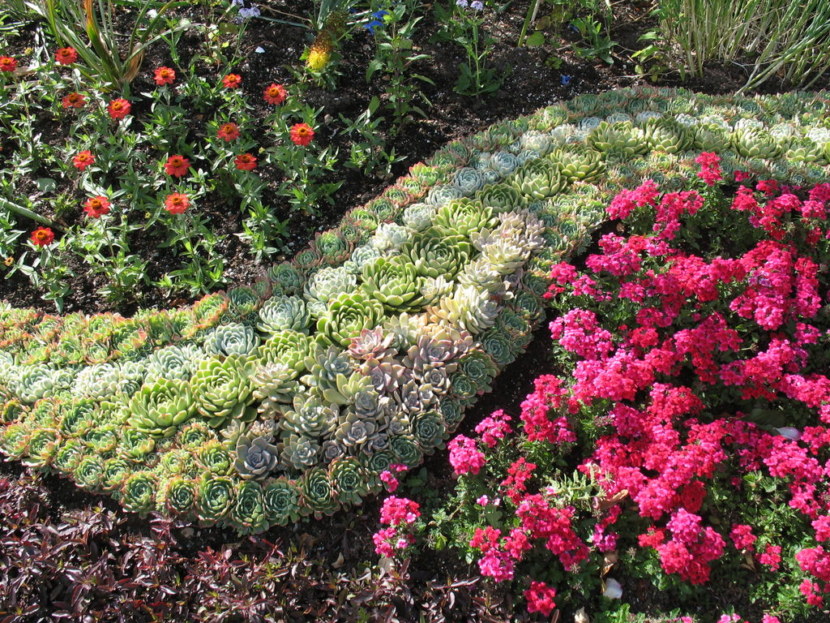 Blomsterhaver i landet: typer, hvordan man gør det selv, plantningsordninger med navne