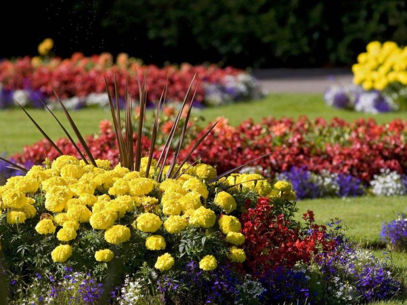 Blomsterhaver i landet: typer, hvordan man gør det selv, plantningsordninger med navne