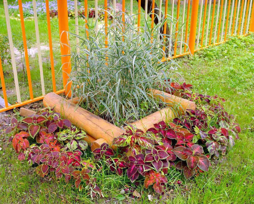 Blomsterhaver i landet: typer, hvordan man gør det selv, plantningsordninger med navne