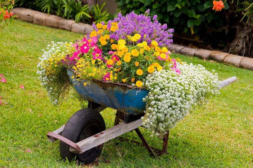 Sådan laver du et blomsterbed med dine egne hænder