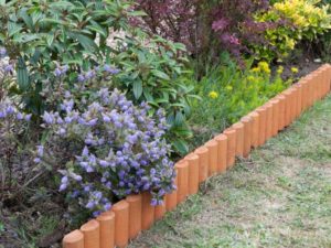 Blomsterhaver i landet: typer, hvordan man gør det selv, plantningsordninger med navne