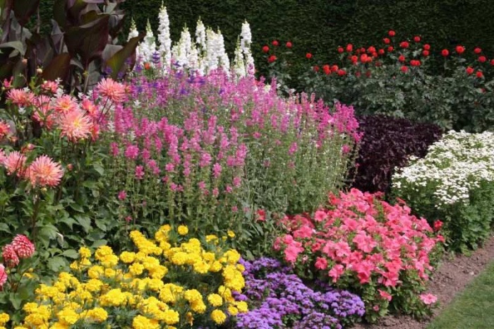 Blomsterhaver i landet: typer, hvordan man gør det selv, plantningsordninger med navne