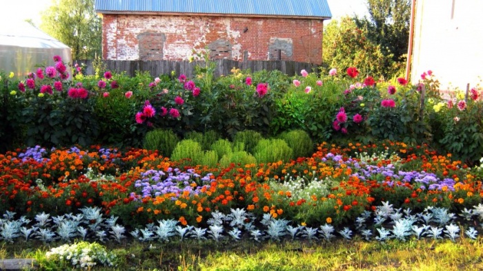 Blomsterhaver i landet: typer, hvordan man gør det selv, plantningsordninger med navne