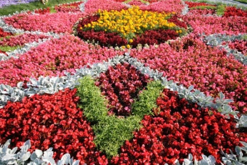 Blomsterhaver i landet: typer, hvordan man gør det selv, plantningsordninger med navne