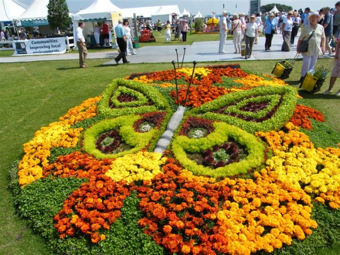 Blomsterhaver i landet: typer, hvordan man gør det selv, plantningsordninger med navne