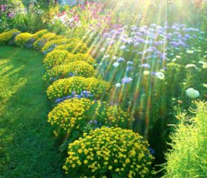 Blomsterhaver i landet: typer, hvordan man gør det selv, plantningsordninger med navne