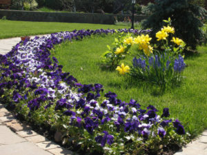 Blomsterhaver i landet: typer, hvordan man gør det selv, plantningsordninger med navne