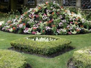 Blomsterhaver i landet: typer, hvordan man gør det selv, plantningsordninger med navne