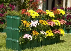 Blomsterhaver i landet: typer, hvordan man gør det selv, plantningsordninger med navne