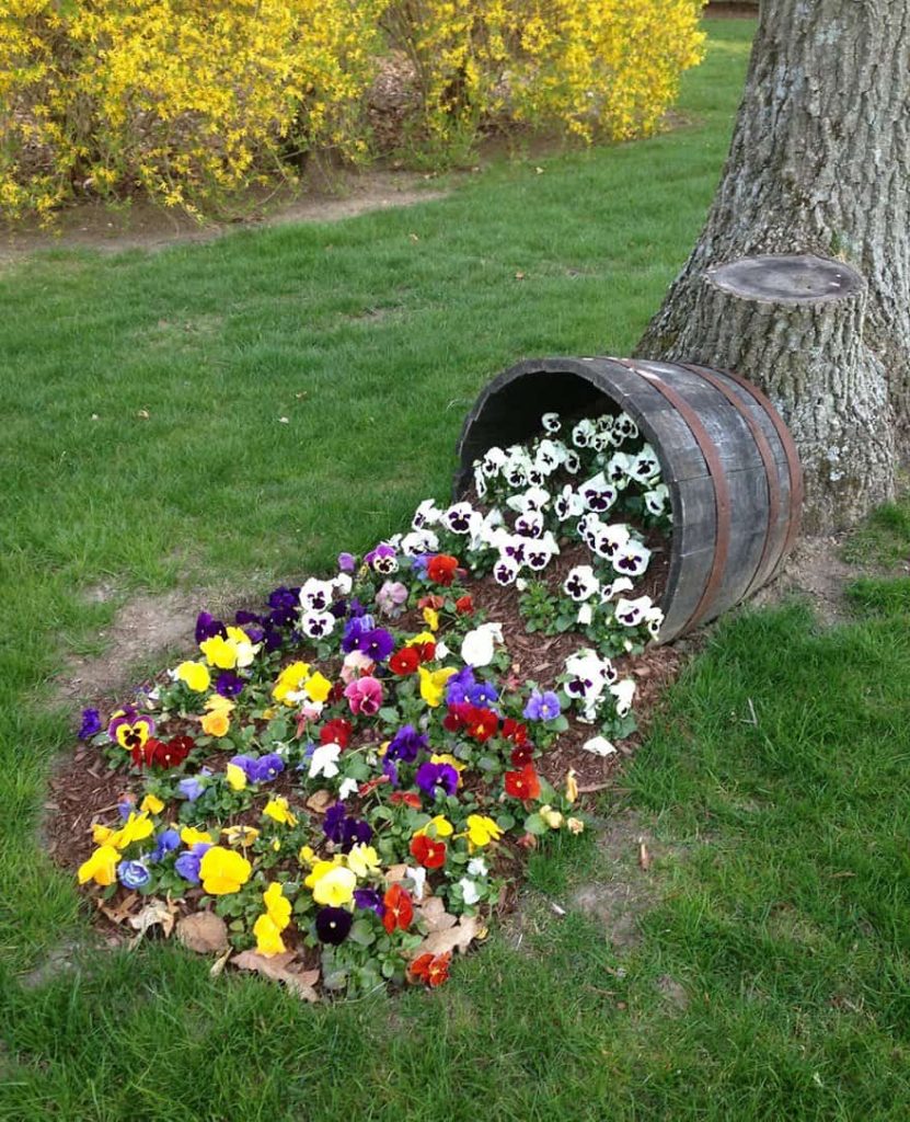 Den originale løsning af et blomsterbed i form af jord spredt fra en gryde med petunia blomster