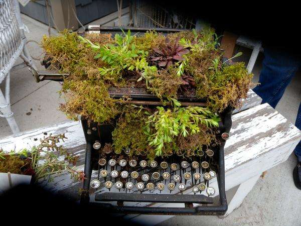 En gammel skrivemaskine bliver til et havefartøj, hvis den er delvist dækket med jord og plantet med planter.