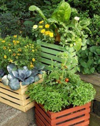urobte si vlastnú záhradu v nádobách