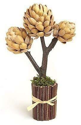 Håndværk fra en pistacieskal. Pistacietræ eller topiary