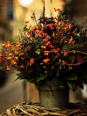 Blomsterhandel for begyndere trin for trin, samling af buketter, læring af indretning med egne hænder, videoer, fotos